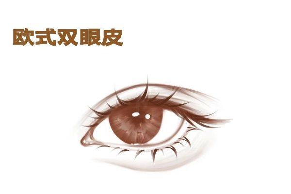 www.zgszw.com上海爱尚丽格医疗美容门诊部简介