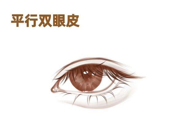 www.zgszw.com上海爱尚丽格医疗美容门诊部简介