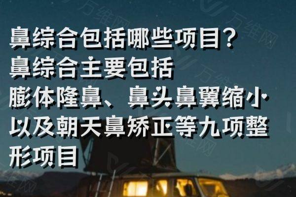 鼻综合www.zgszw.com