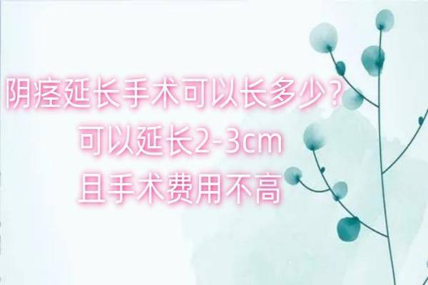 阴痉延长手术可以长多少？www.zgszw.com