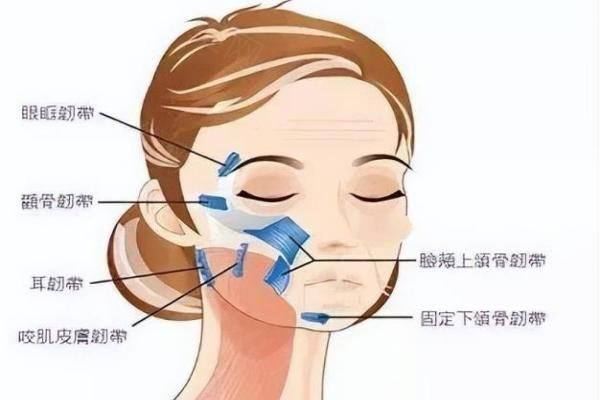 筋膜递进式提升术后脸麻正常吗www.zgszw.com