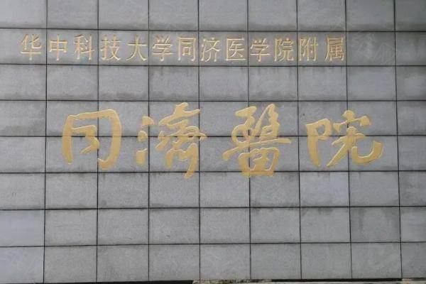 武汉同济医学院医院吴辉做鼻子怎么样www.zgszw.com