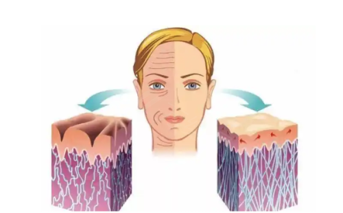 广州美莱医疗美容医院收费价格表:眼部2000元起、胸部10000元起!