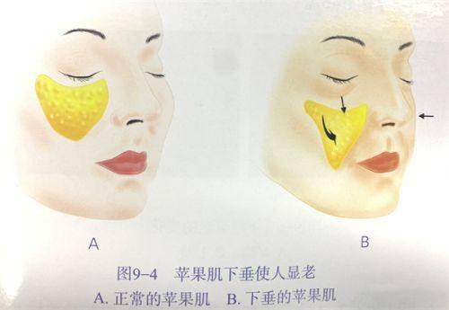 杭州薇琳医疗美容医院是不是正规医院？当然是凭实力成医美热门之选