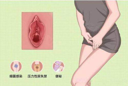 五、口碑评价