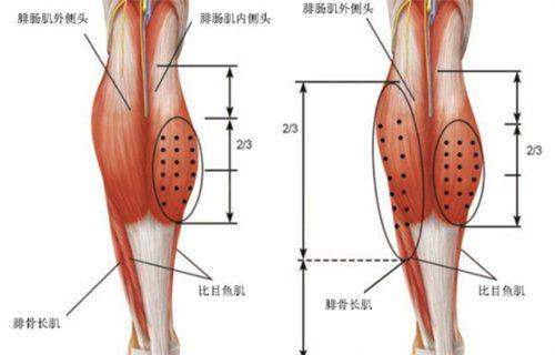 五、顾客反馈和口碑