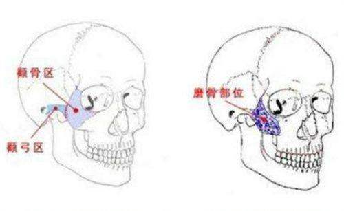 五、医院的地址和联系方式
