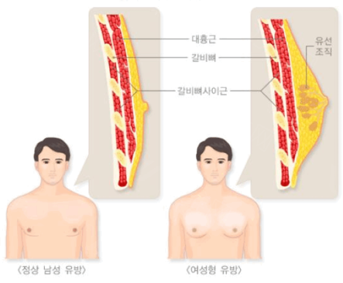 眼部整形套餐