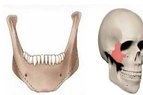 广州新市医院2025收费标准揭秘:整形、口腔等科室价格亲民