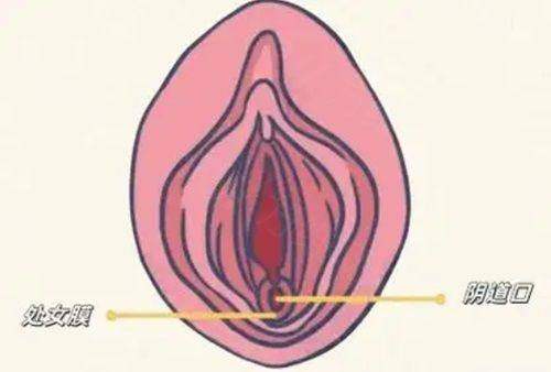 二、广州美莱医疗美容医院的眼部多项整形优势