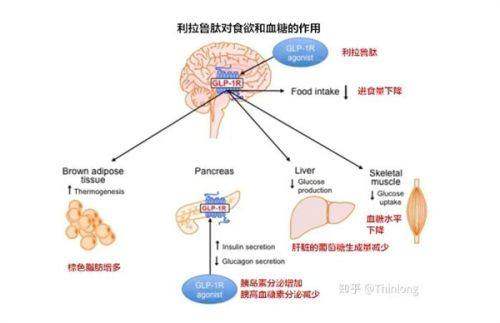 三、广州美莱医疗美容医院质量好嘛——术后服务保护