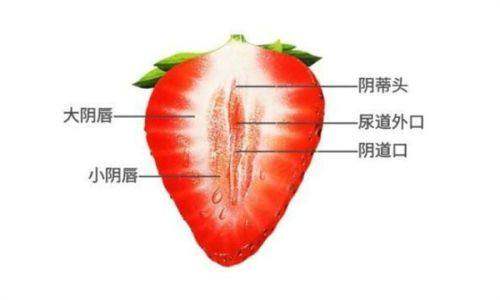 二、广州美莱医疗美容医院院长的皮肤美容技术优势