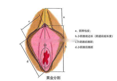 深圳艺星牛克辉医生隆鼻案例怎么样？技术强审美佳，术后效果自然如原生！ 