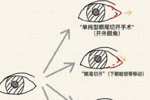 二、成都大麦微针和新生植发价格原词嵌入?简单回答一下成都大麦微针和新生植发价格