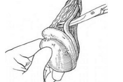 二、深圳南雅医疗美容门诊部营业时间