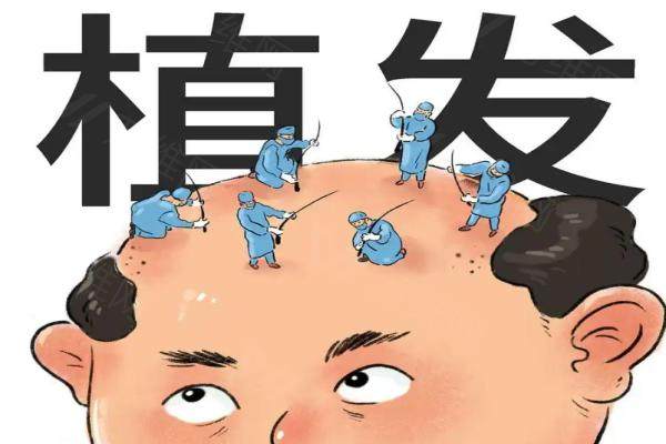 多维毛囊提取技术成熟吗？熙朵植发全身取发不伤毛囊，术后浓密自然协调